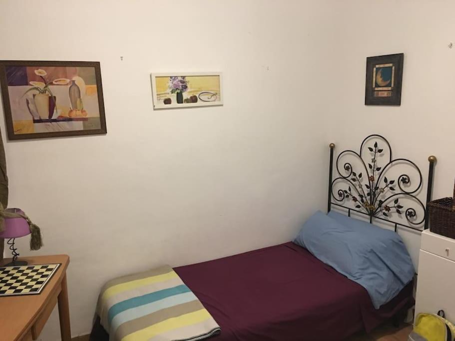 The Oasis One Spacious Apartment In Sevilla Екстер'єр фото